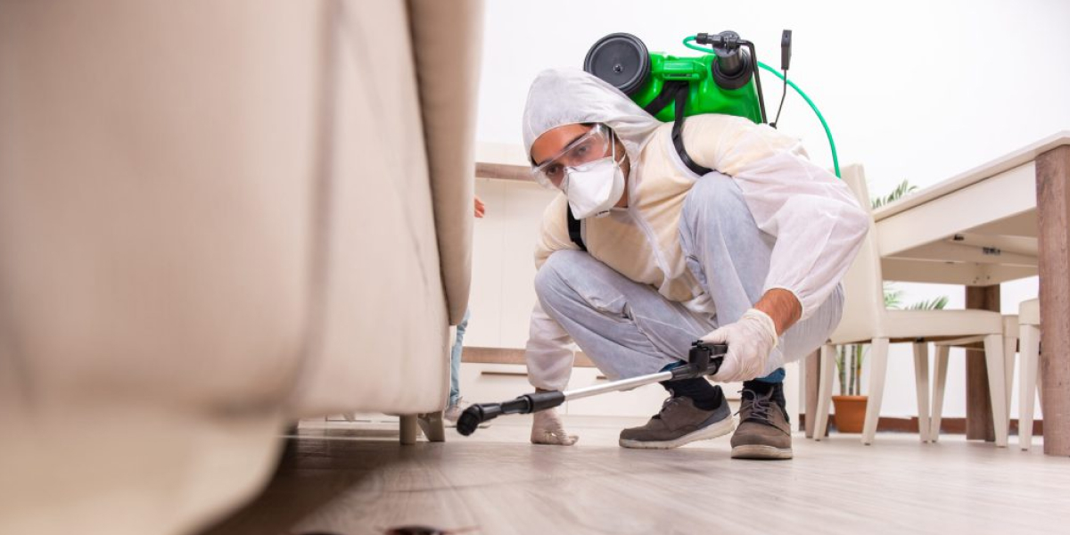 Pest Control New Farm, Nundah, Hamilton & Brisbane